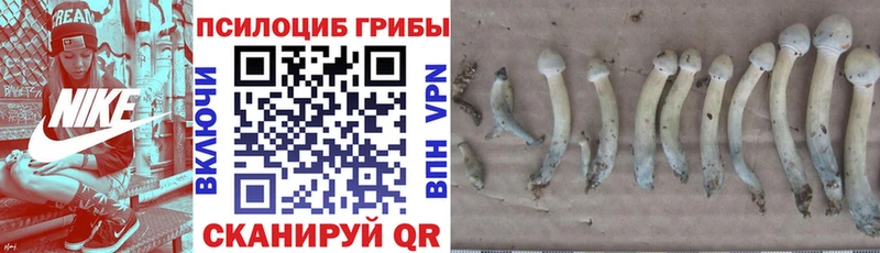 Галлюциногенные грибы мухоморы  где найти   Льгов 