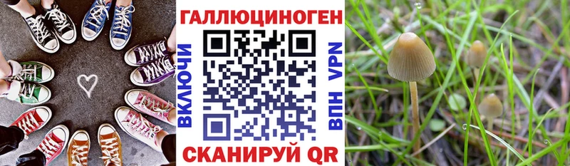 Галлюциногенные грибы GOLDEN TEACHER Льгов